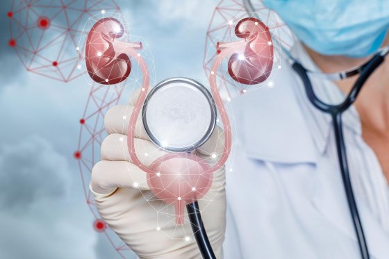 <span> Lütfen </span> Videomuzu İzleyin